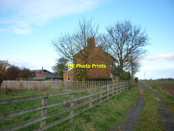 Photo 6"x4" Rest Park Cottage Biggin\/SE5434 c2010