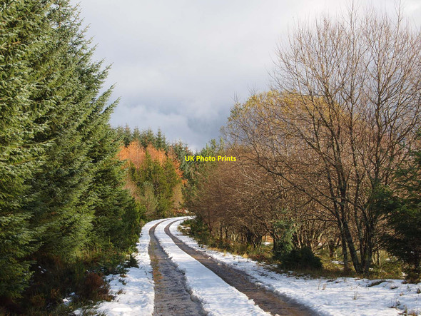 Photo 6"x4" Track near Loch Kennard Creag a' Mhadaidh\/NN9145 c2010