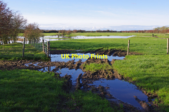 Photo 6"x4" Aldcliffe Marsh Lancaster c2010