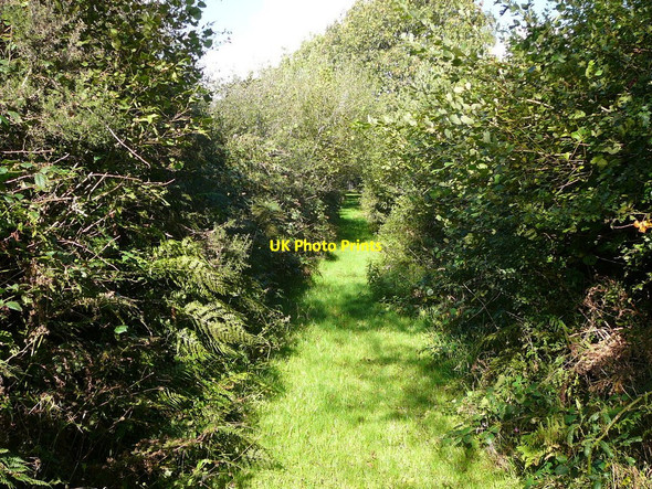 Photo 6"x4" Landsker Borderlands Trail east of Efailwen Efailwen c2010