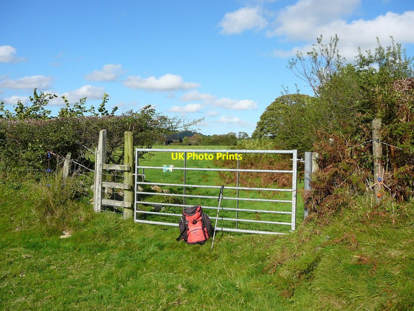 Photo 6"x4" Gate and stile Landsker Borderlands Trail north of Vicar's Mill Llanycefn c2010