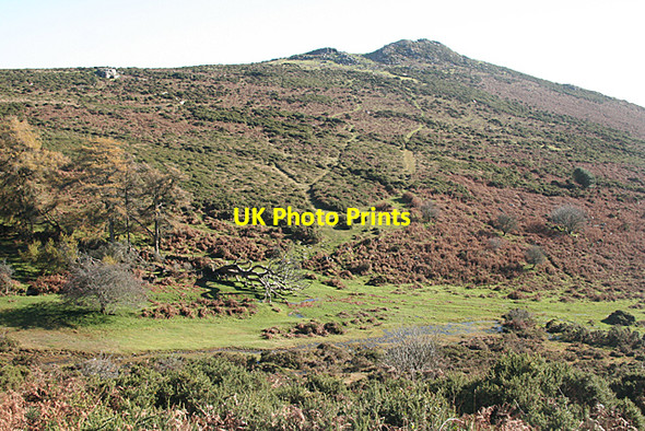 Photo 6"x4" Widecombe in the Moor: towards Sharp Tor Dartmeet c2010