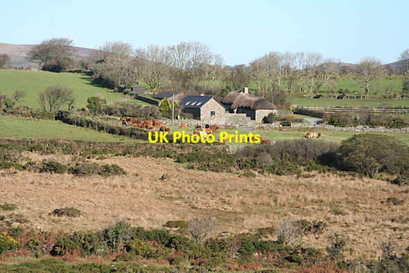 Photo 6"x4" Widecombe in the Moor: Ollsbrim Dartmeet c2010