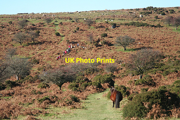 Photo 6"x4" Widecombe in the Moor: path from Sharp Tor Dartmeet c2010