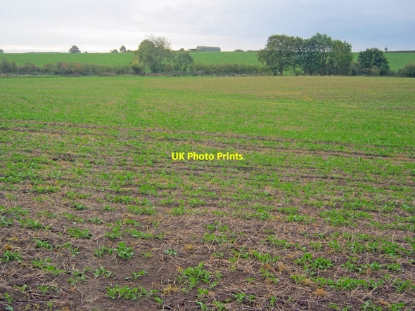 Photo 6"x4" Arable land south of Dilliner Wood Belle Eau Park c2010