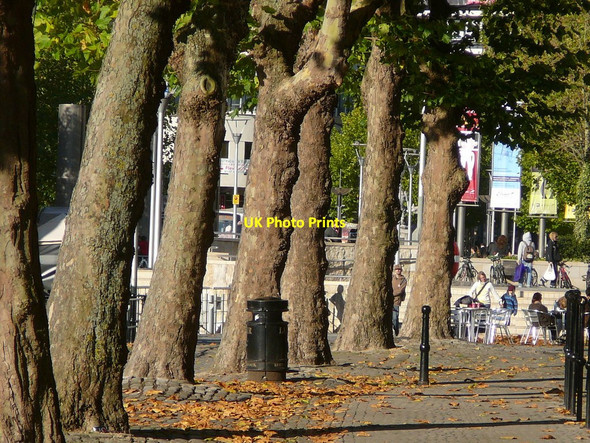 Photo 6"x4" Tree lined, Narrow Quay, Bristol Bedminster c2010