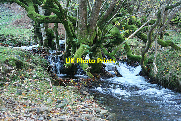 Photo 6"x4" Holne: at the foot of Great Combe Holne c2010