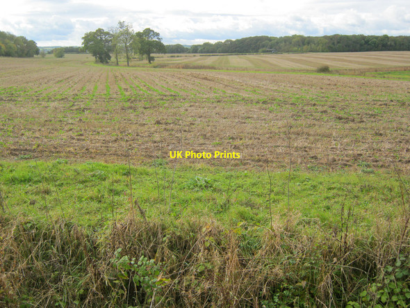 Photo 6"x4" Arable land west of Nut Wood Belle Eau Park c2010