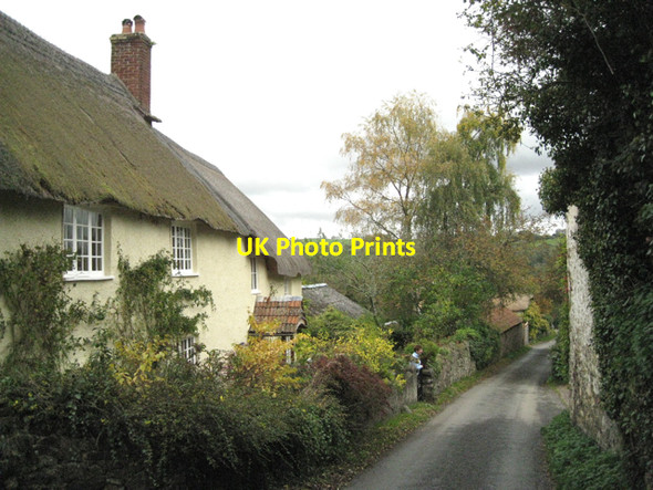 Photo 6"x4" Coombe Farmhouse Bennah c2010