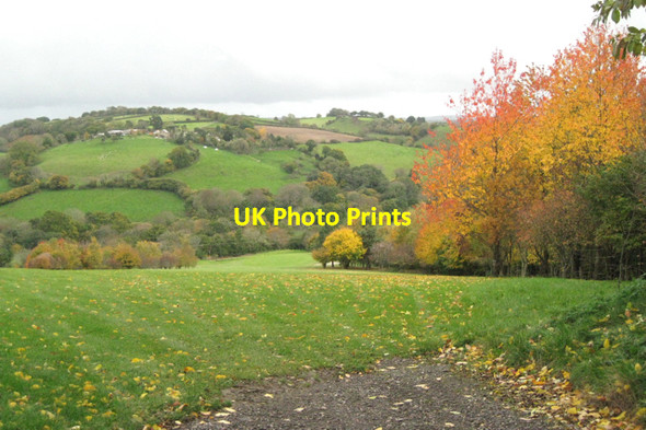 Photo 6"x4" Plantation, Teign Valley golf course Bennah c2010