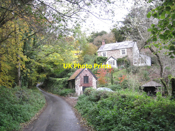Photo 6"x4" Lane to Christow past Oathill Cottage, Coombe Bennah c2010