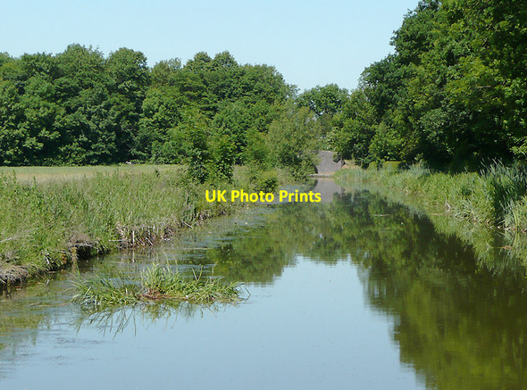 Photo 6"x4" The Ashby Canal west of Shackerstone, Leicestershire Shackerstone c2010