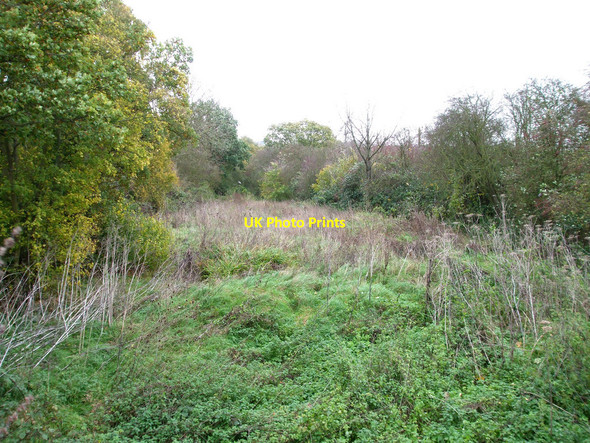 Photo 6"x4" Green Railway Stow Maries c2010