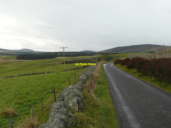 Photo 6"x4" The 'High' Road Balintore\/NO2859 c2010