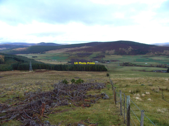Photo 6"x4" Cnoc na h-Iolaire Roughpark c2010
