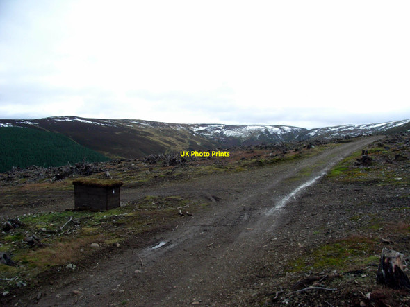Photo 6"x4" Meikle Charsk Hill Junction Meikle Charsk Hill c2010