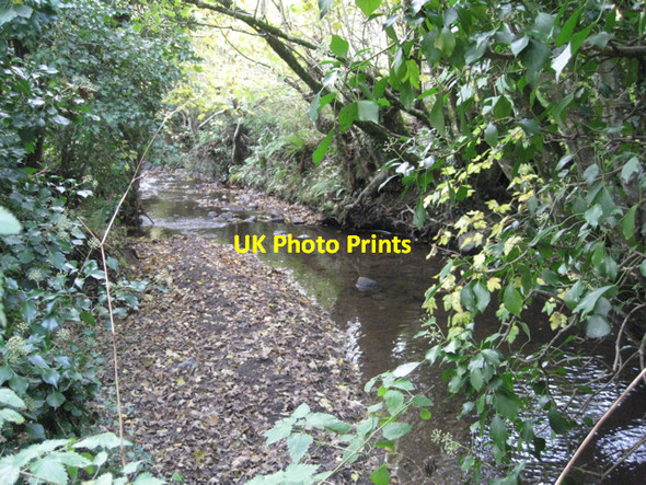 Photo 6"x4" Shippen Brook, Lower Ashton Lower Ashton c2010