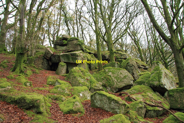 Photo 6"x4" Burra Tor Sheepstor c2010
