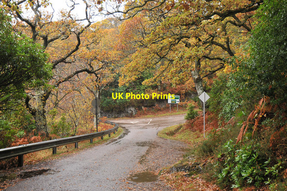 Photo 6"x4" Junction of the Loch Morar road and the B8008 Beoraidbeg c2010