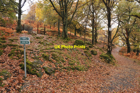 Photo 6"x4" Paths to Swordland and Stoul Bracorina c2010