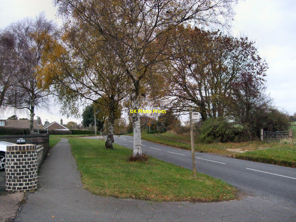Photo 6"x4" Trees on Ockley Road Keymer c2010