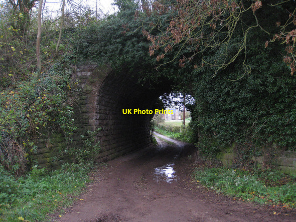 Photo 6"x4" Passing under the dismantled railway Lea\/SO6521 c2010