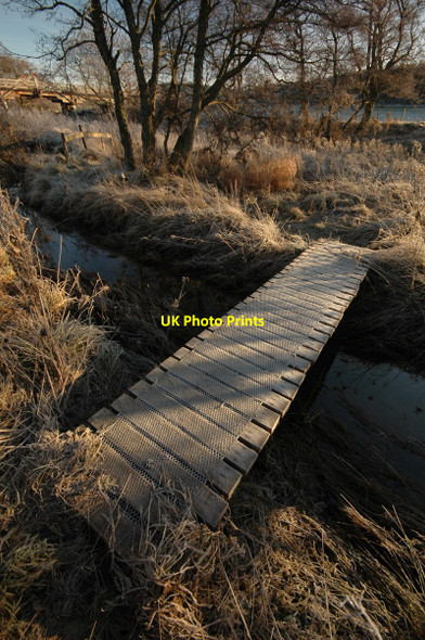 Photo 6"x4" Path along the banks of the Spey Dulnain Bridge c2006