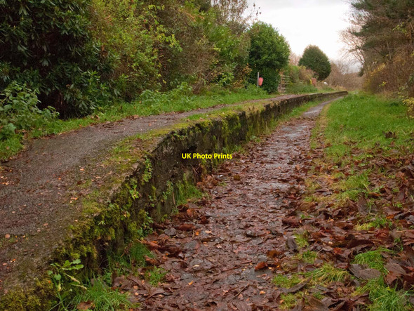 Photo 6"x4" Dollar station platform Dollar c2010