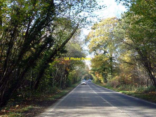 Photo 6"x4" Slough Green Lane, East Sussex Slough Green\/TQ2826 c2010