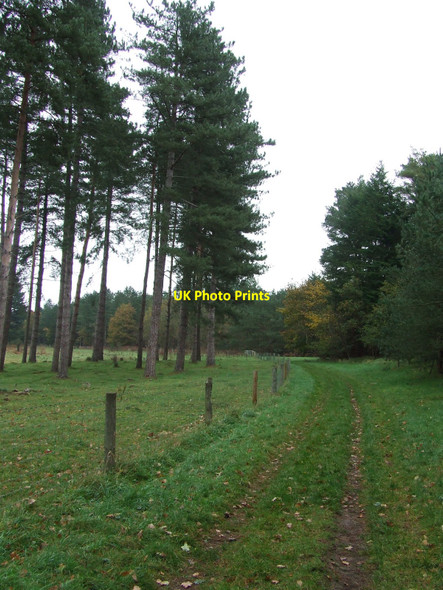 Photo 6"x4" Public Footpath Bridgham c2010
