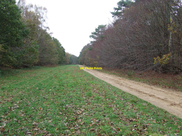 Photo 6"x4" Bridgham Lane West Harling c2010