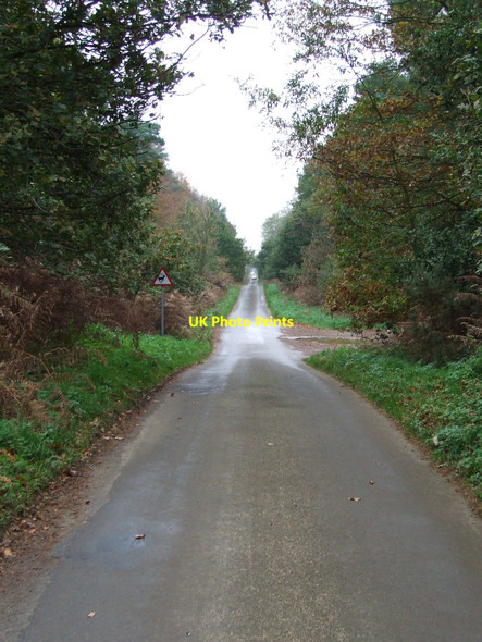 Photo 6"x4" Long Road Bridgham c2010