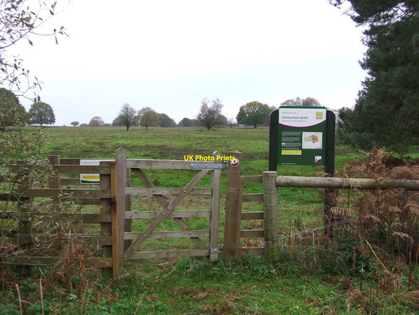 Photo 6"x4" Brettenham Heath Bridgham c2010
