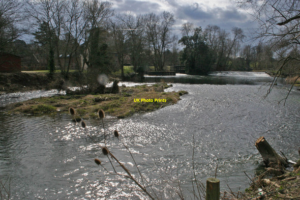 Photo 6"x4" Canford Magna - River Stour Wimborne Minster c2005