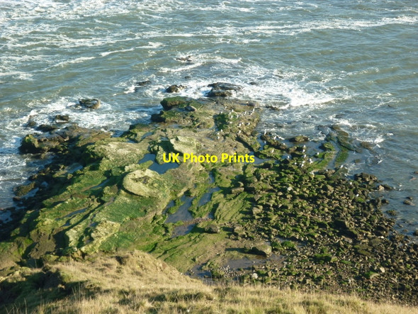Photo 6"x4" Yons Nab from the Cleveland Way Gristhorpe c2010