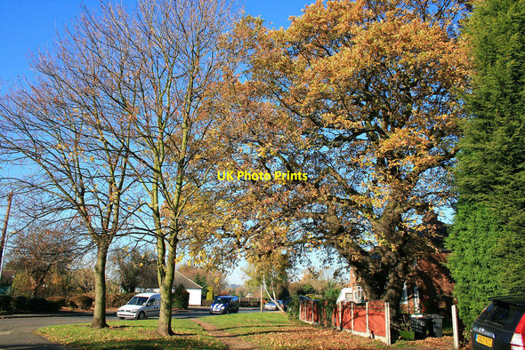Photo 6"x4" Autumn oak Beeston\/SK5236 c2010
