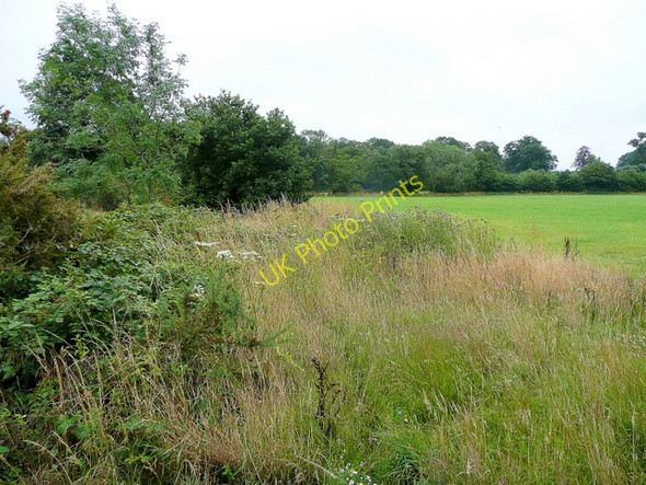 Photo 6"x4" Part of Wasing Park Wasing c2009