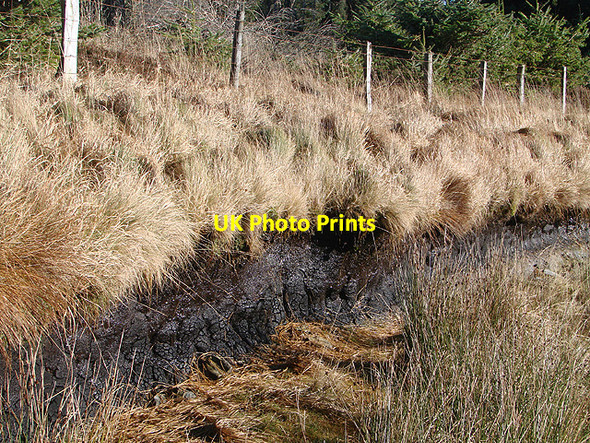 Photo 6"x4" Exposed peat at Diliw Bryn Diliw c2010