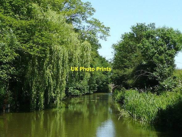 Photo 6"x4" The Ashby Canal at Snarestone Snarestone c2010