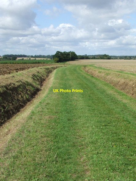 Photo 6"x4" Old Hundred Lane Mendlesham Green c2010