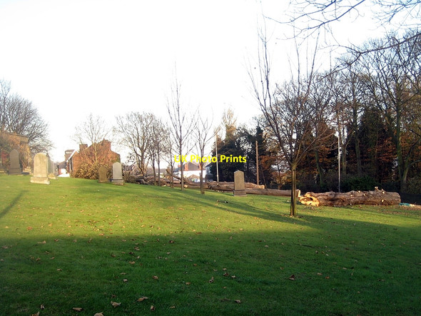 Photo 6"x4" Felled trees, Stanley churchyard (2) Stanley\/SE3424 c2010