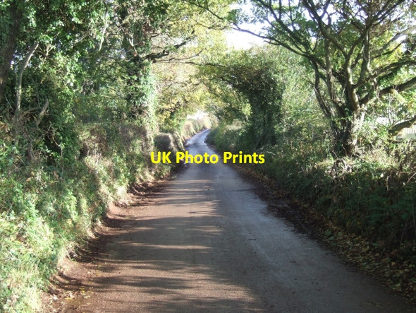 Photo 6"x4" Days Pottle Lane, at Peamore Arch Kennford c2010