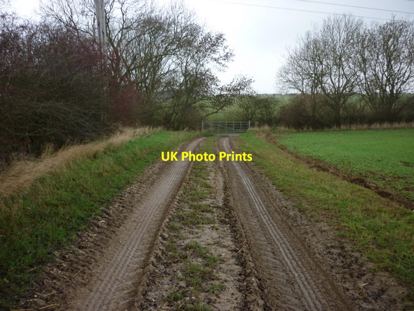 Photo 6"x4" A track heading to Burton Road Rudston c2010