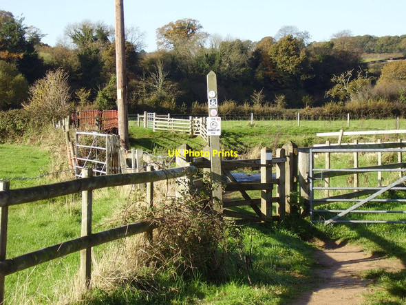 Photo 6"x4" Footbridge over the River Otter Harpford c2010