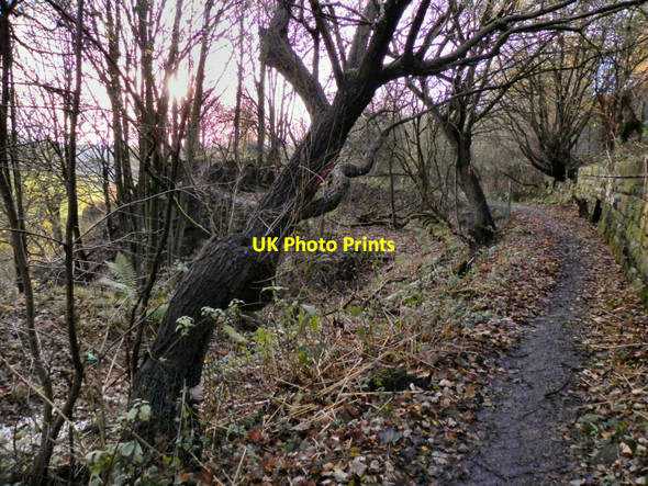 Photo 6"x4" Manchester, Bolton & Bury Canal Kearsley\/SD7505 c2010