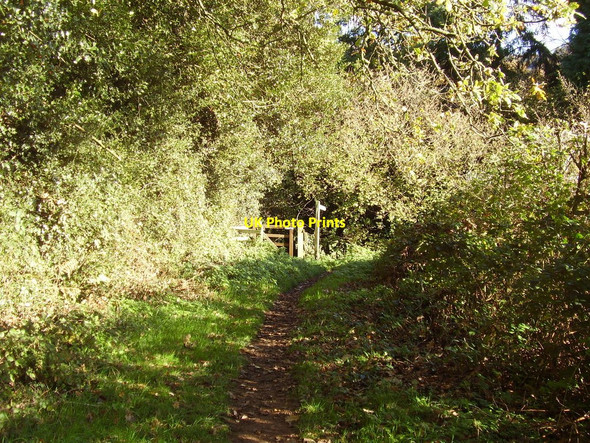 Photo 6"x4" Footpath on the East Devon Way Harpford c2010