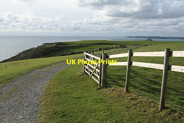 Photo 6"x4" Newton and Noss: by Revelstoke Drive Noss Mayo c2010