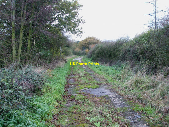 Photo 6"x4" Road to nowhere Rawreth Shot c2010