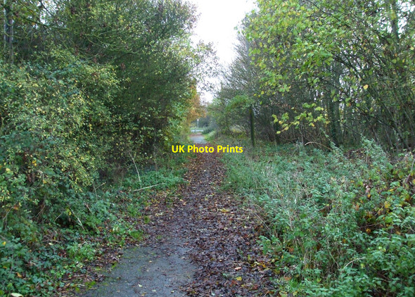 Photo 6"x4" Old Road Rawreth Shot c2010