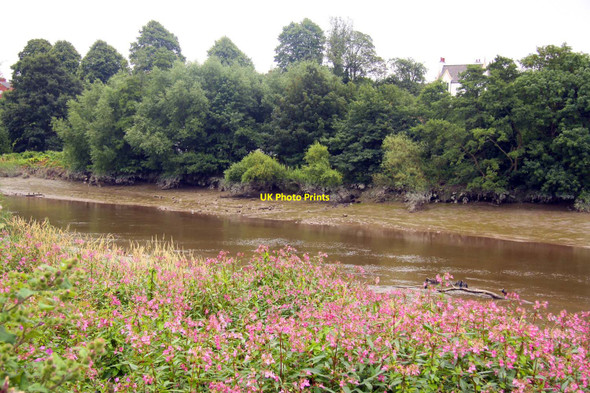 Photo 6"x4" The River Dee Chester c2010